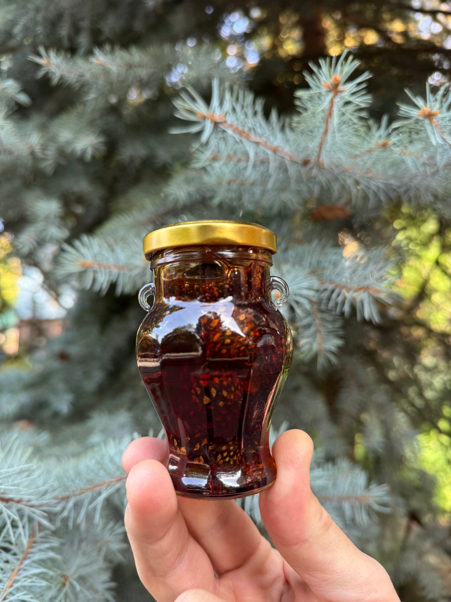 Confettura di pigne di prima qualità